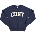 Varsity Crewneck